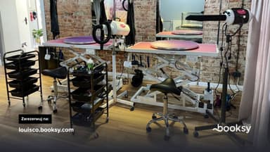 Atelier psiej urody Louis & Co. Strzyżenie psów Psi fryzjer Groomer Łódź