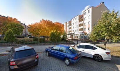 Roxy - Salon psiej urody