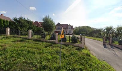DAYSI Usługi groomerskie