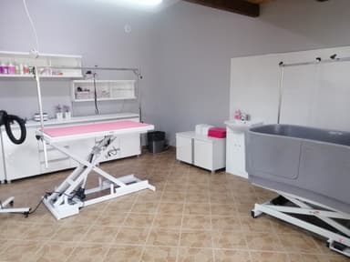 Beauty Groom - fryzjer dla zwierząt