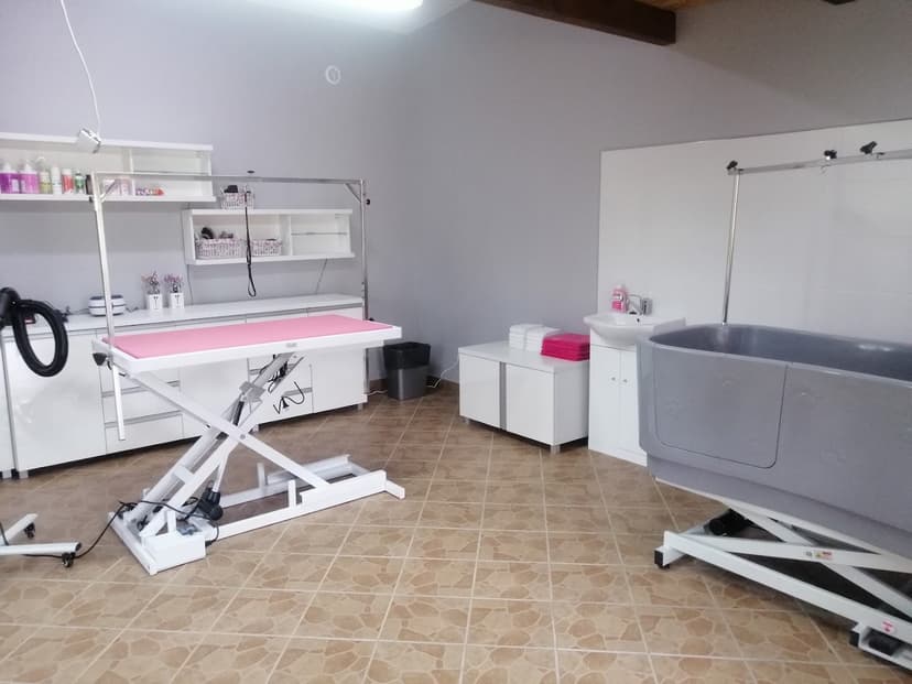 Beauty Groom - fryzjer dla zwierząt