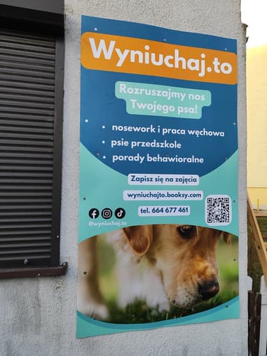 Wyniuchaj.to