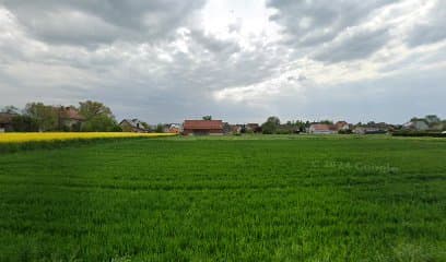 Usługi Weterynaryjne