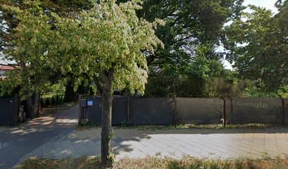 Przychodnia weterynaryjna - lecznica małych zwierząt