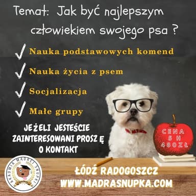 Akademia Mądrej Śnupki - Szkolenie psów, behawiorysta Łódź