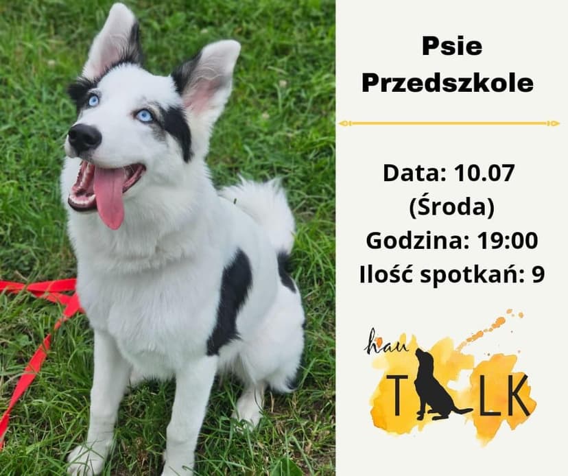 Szkolenie psów - Hau Talk BYTOM/WOJSKA