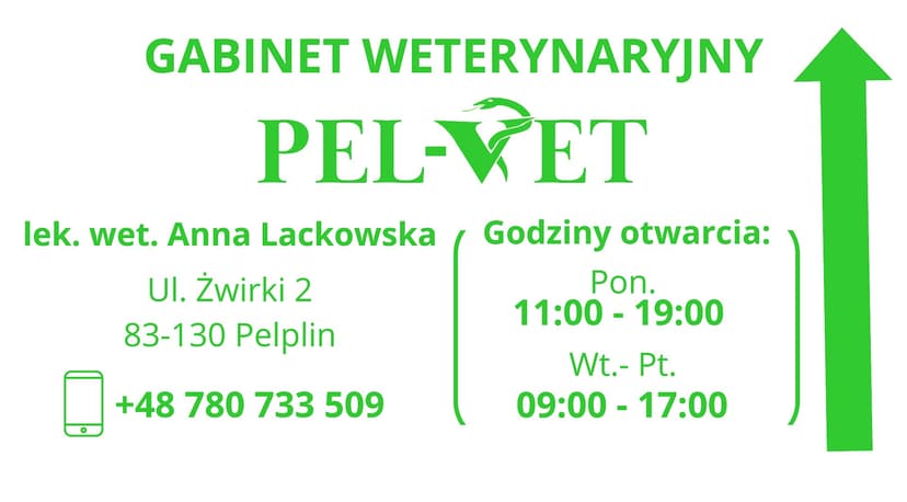 Gabinet weterynaryjny PEL-VET lek. wet. Anna Lackowska