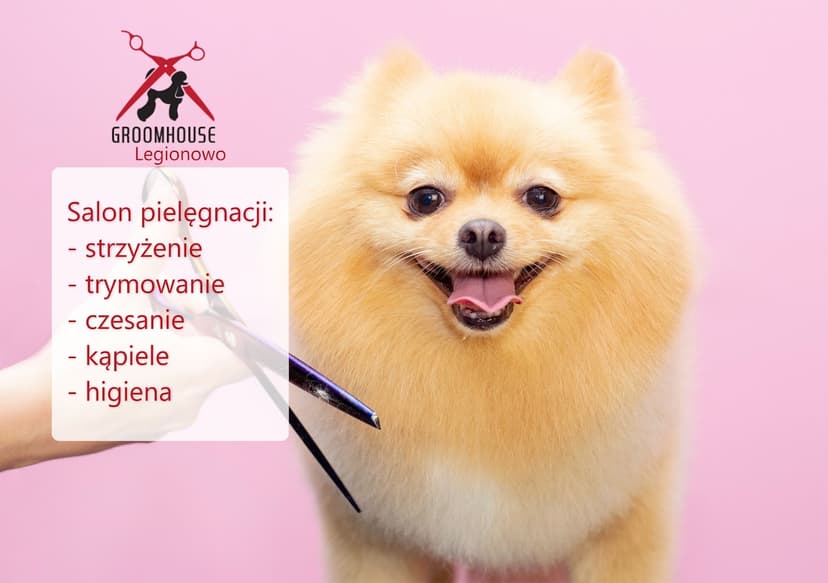 Groomhouse - Strzyżenie i pielęgnacja psów