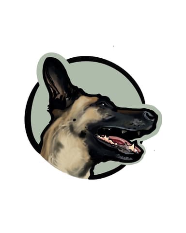 Working like a dog - szkolenie i trening psów | Karolina - behawiorysta, zoopsycholog, trener psów
