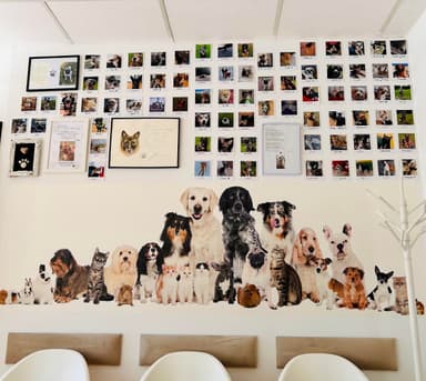 VetLife Gabinet Weterynaryjny Weronika Schneider