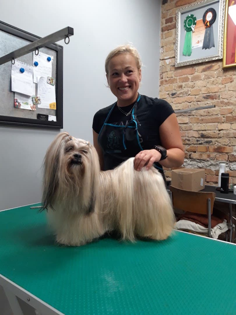 Dori Dogs salon pielęgnacji zwierząt sklep zoologiczny