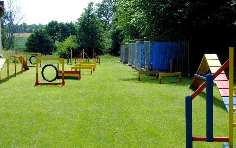 Hotel dla psów RANCHO. Szkolenie psów oraz salon strzyżenia