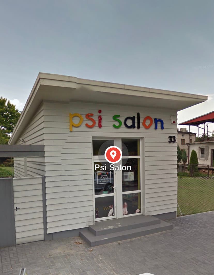 Psi Salon