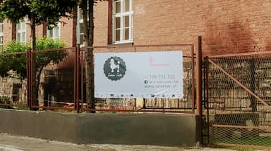 Strzyżenie i spa dla kota i psa LAKI