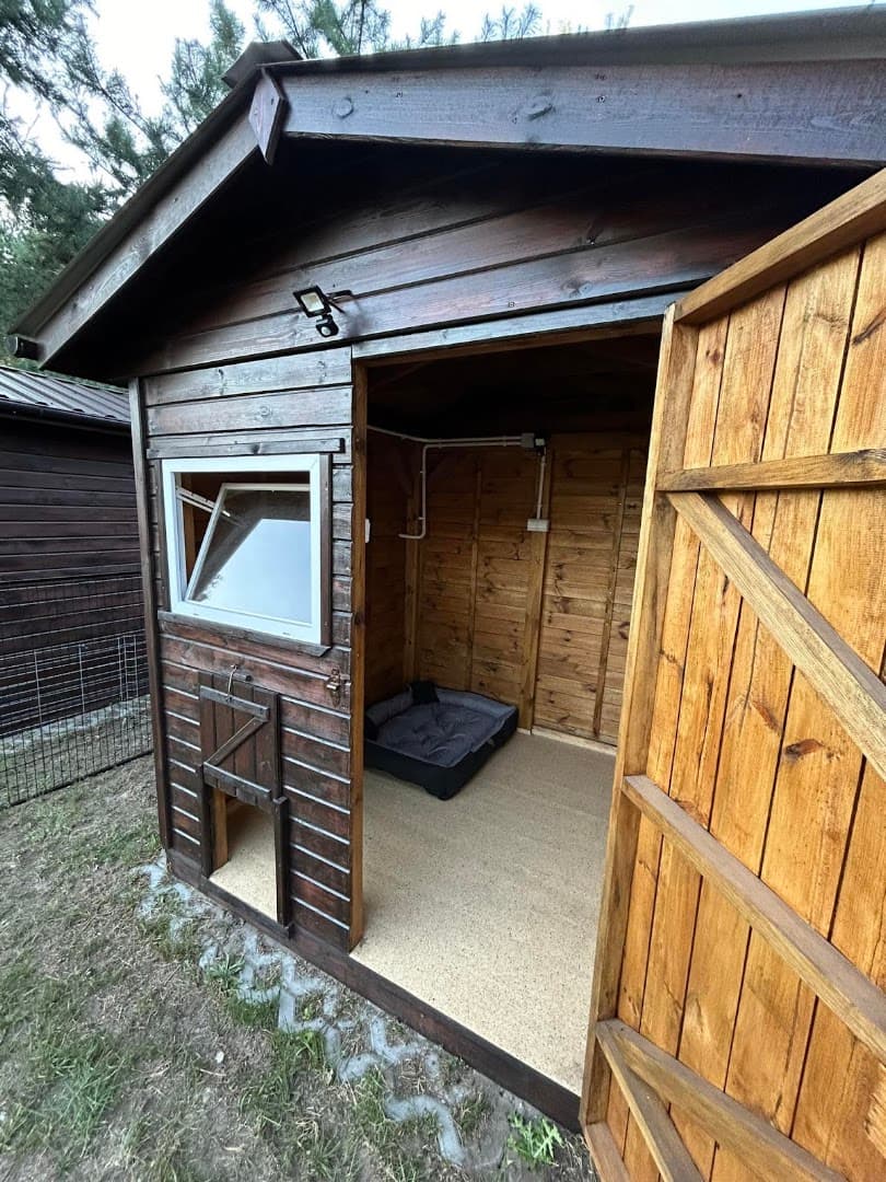 "Dog&Cat" Hotel dla zwierząt - Solec Kujawski