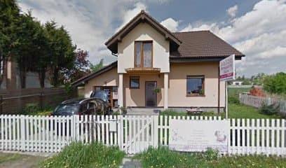 Fryzjer Dla Psów Zuza I Ben