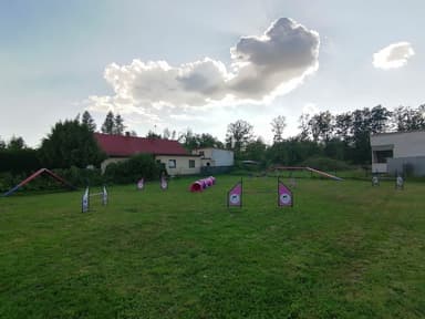 KamiDoggi - szkolenie psów, zoopsycholog behawiorysta psów i kotów