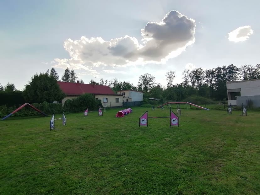 KamiDoggi - szkolenie psów, zoopsycholog behawiorysta psów i kotów