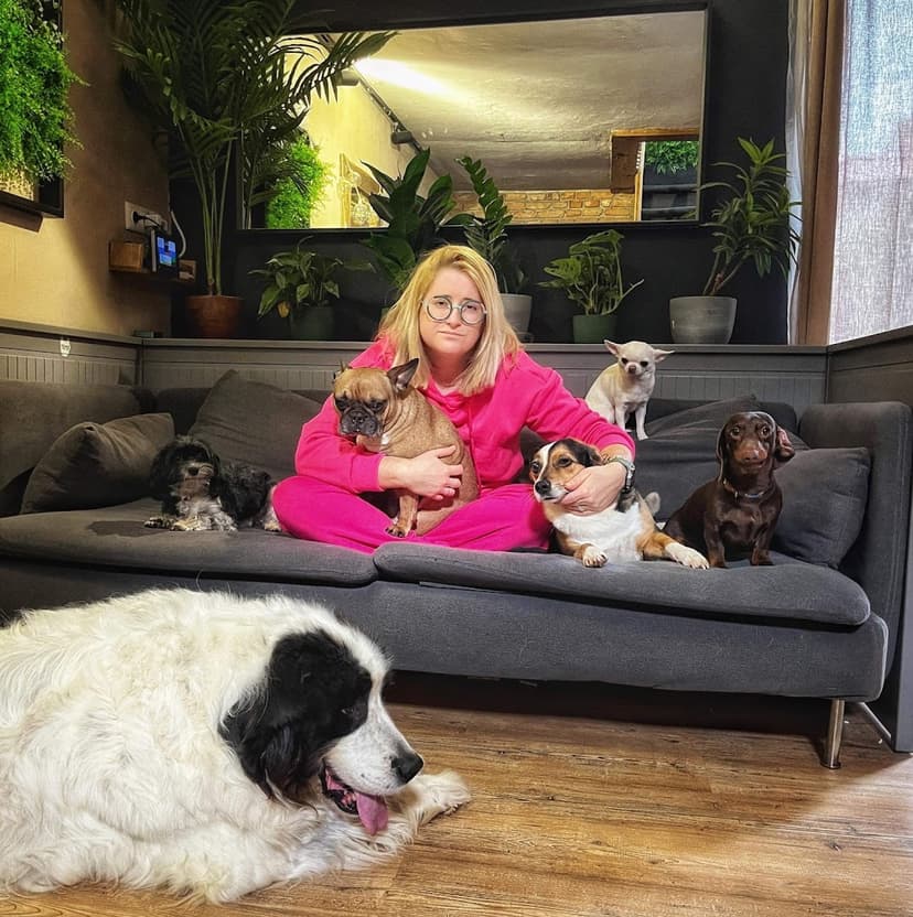 Good Dog Care