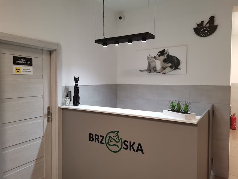 Przychodnia Weterynaryjna BRZOSKA
