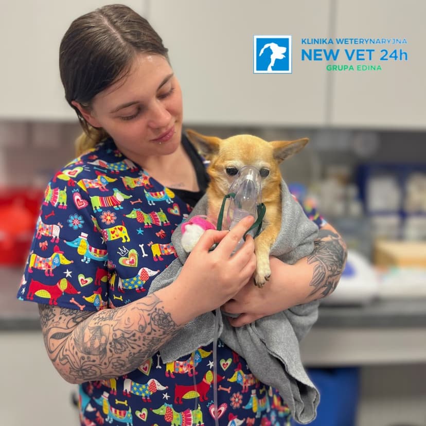 New Vet Klinika Weterynaryjna 24h | Grupa EDINA