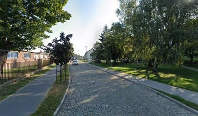 Pupil strzyżenie i pielęgnacja psów i kotów