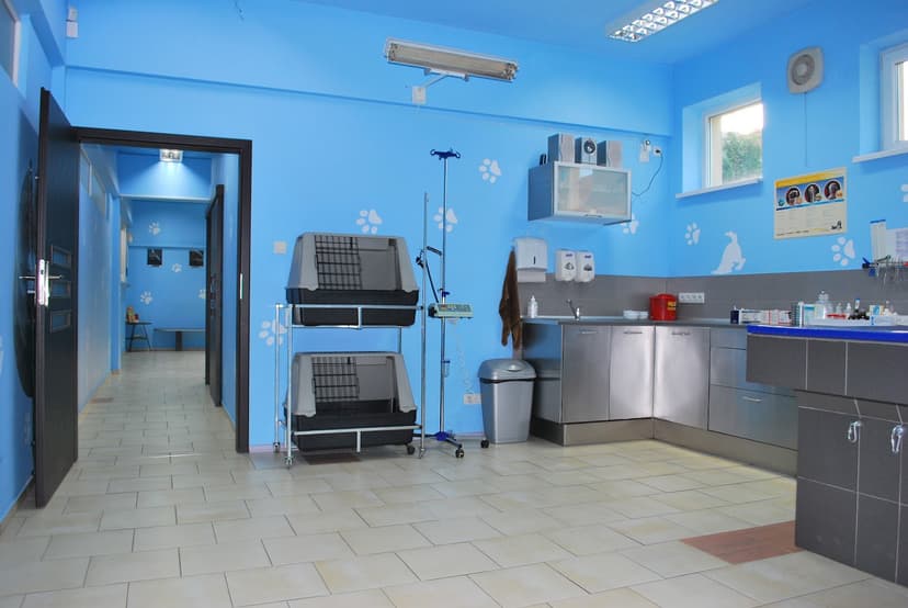 Lecznica Weterynaryjna Centrum Zdrowia Małych Zwierząt MedicoVet s.c.