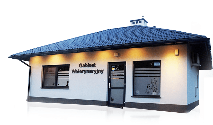 Gabinet Weterynaryjny GOLDEN, Łańcut , Czarna k. Łańcuta