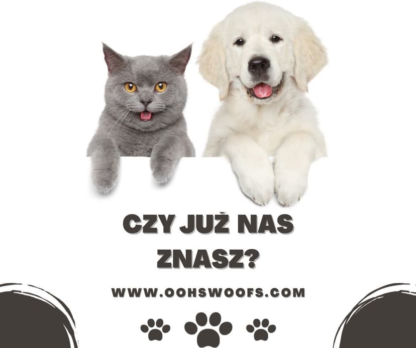 OOHS&WOOFS psi fryzjer Praga-pn