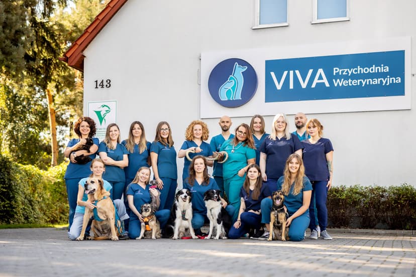 Przychodnia Weterynaryjna VIVA