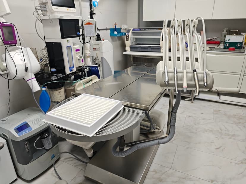 Gabinet weterynaryjny Centrum Stomatologii Psa i Kota Animaldent