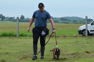 Top-Dog Rybnik