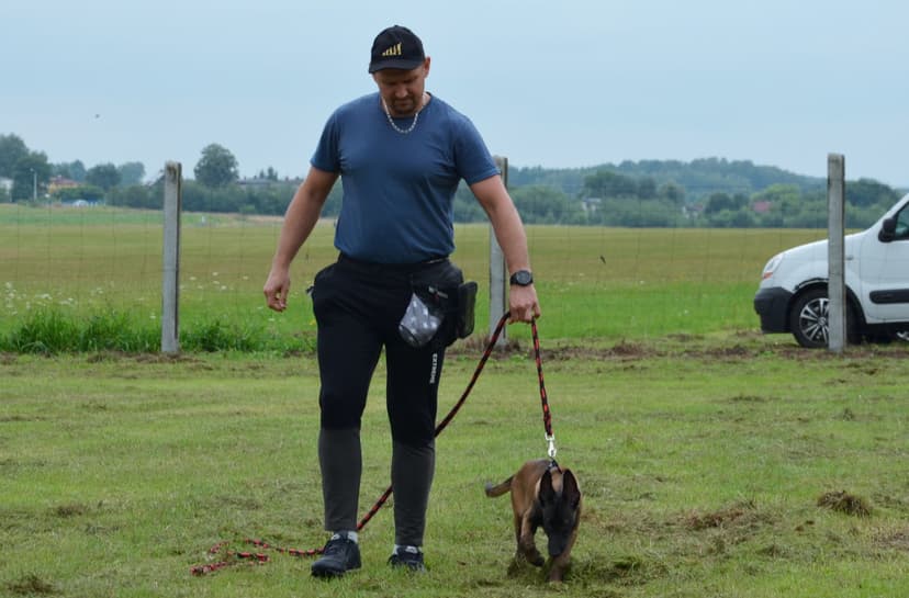 Top-Dog Rybnik