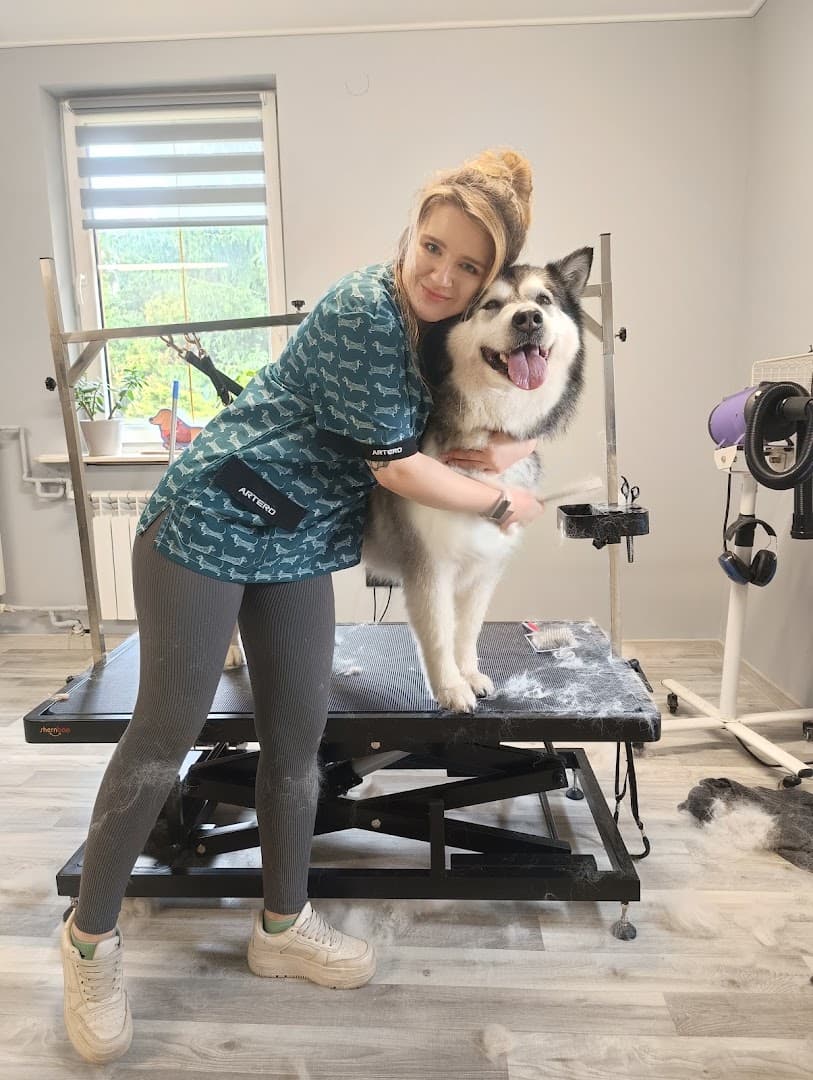 Dabi Grooming - salon pielęgnacji psów i kotów Kobyłka