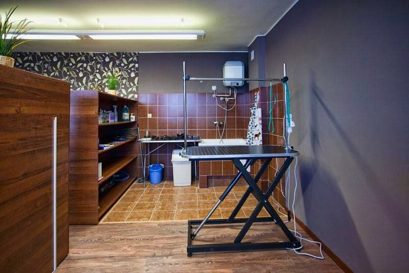 Nowy York - Salon Strzyżenia Psów