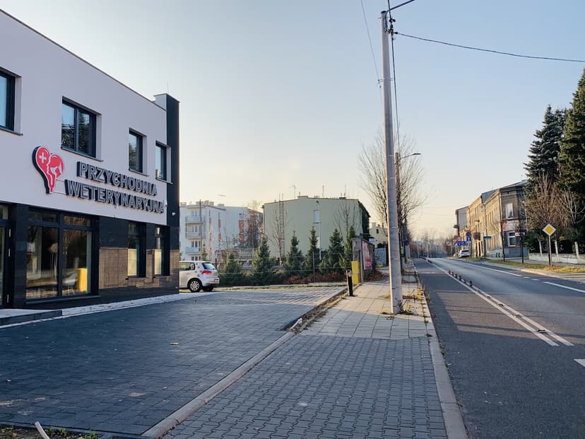 Przychodnia Weterynaryjna Cztery Łapy Częstochowa Stomatologia Rentgen Stomatologiczny Kardiologia