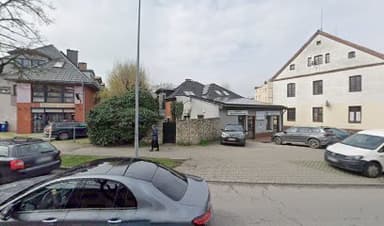 Strzyżenie psów i kotów, salon pielęgnacji zwierząt OLWET w Oleśnicy