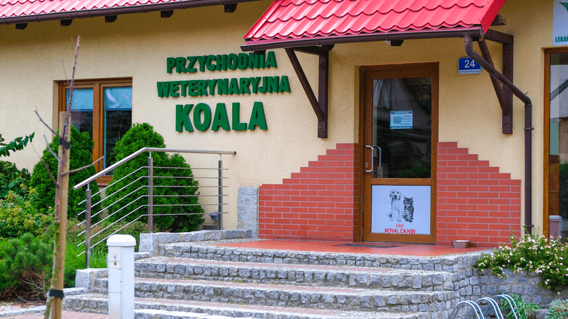 Koala s.c.