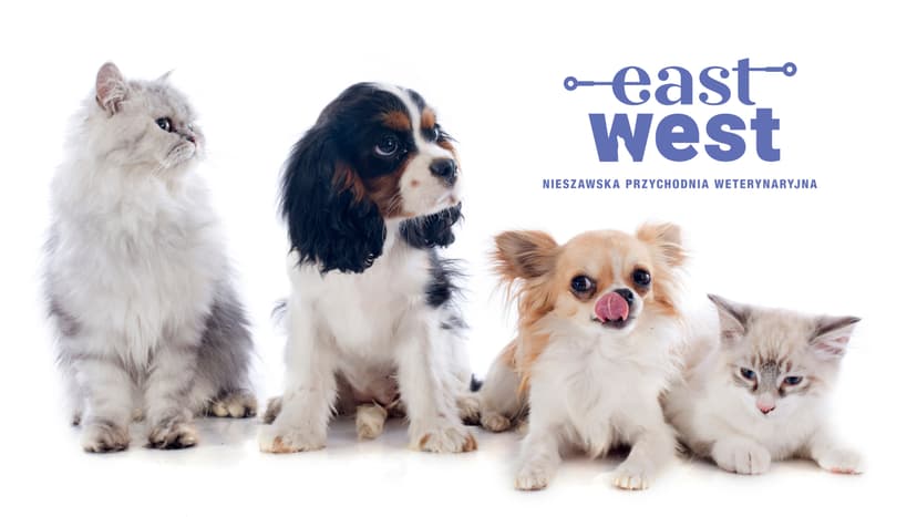 Przychodnia Weterynaryjna "Nieszawska"