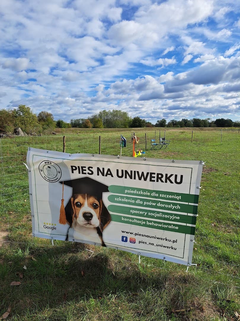 Pies na uniwerku - szkolenie psów i konsultacje