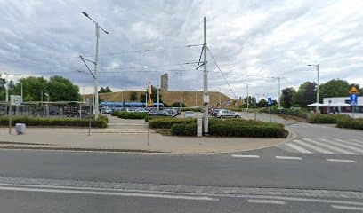 Psie Nastroje - Daria Żak Behawiorystka psów
