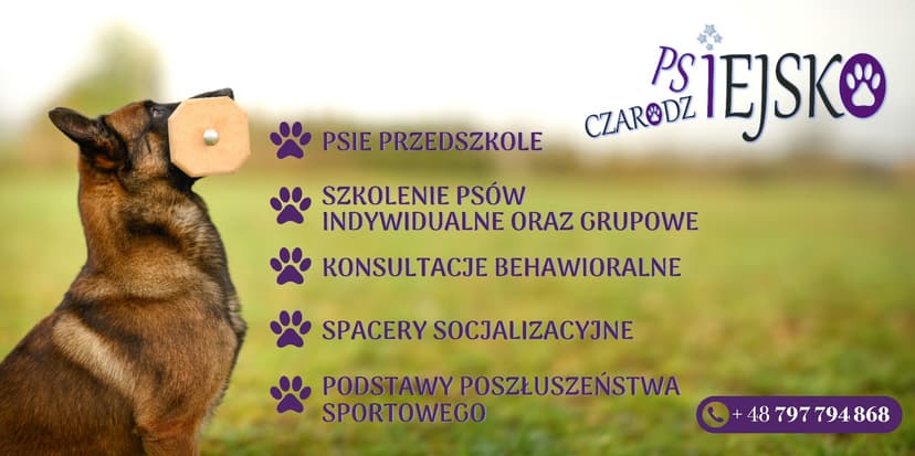 Szkolenie Psów Psiejsko Czarodziejsko