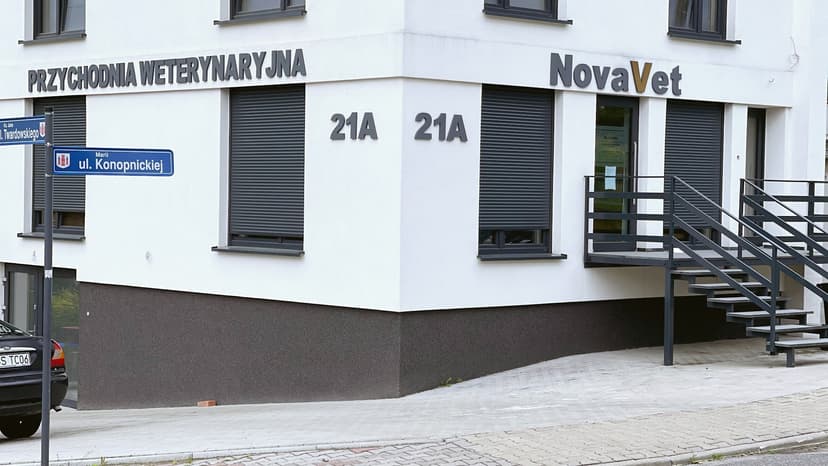 NovaVet Gabinet Weterynaryjny dla psów i kotów