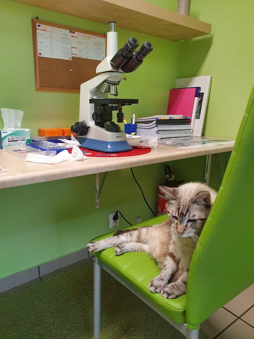 Przychodnia weterynaryjna ALMAVET - Dermatologia i onkologia weterynaryjna