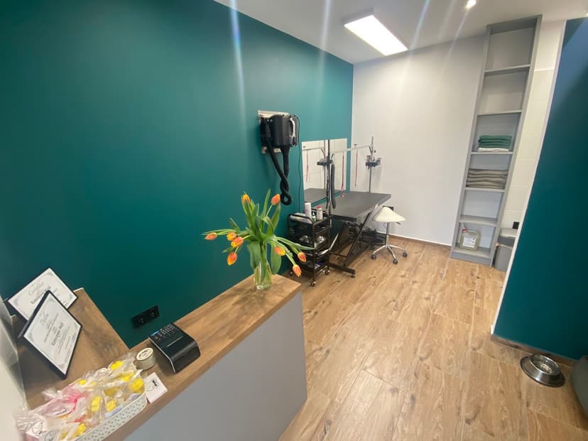 4PAWS salon strzyżenia i pielęgnacji psów