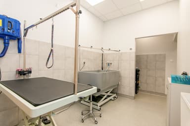 Salon Pielęgnacji Zwierząt | www.groomerjaslo.pl