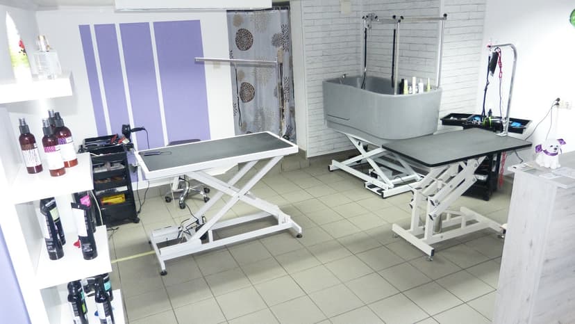 Salon Psiej Urody Czyścioch