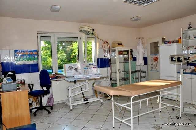Przychodnia Weterynaryjna dla małych zwierząt