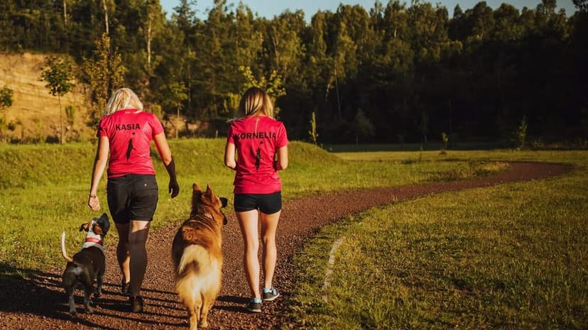 Passionblog For Dogs