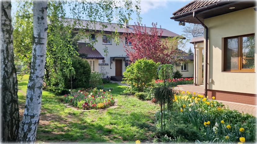 Kateria - Hotel dla Kotów - Pet Hotel